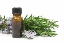 Rosemary Extract 360230